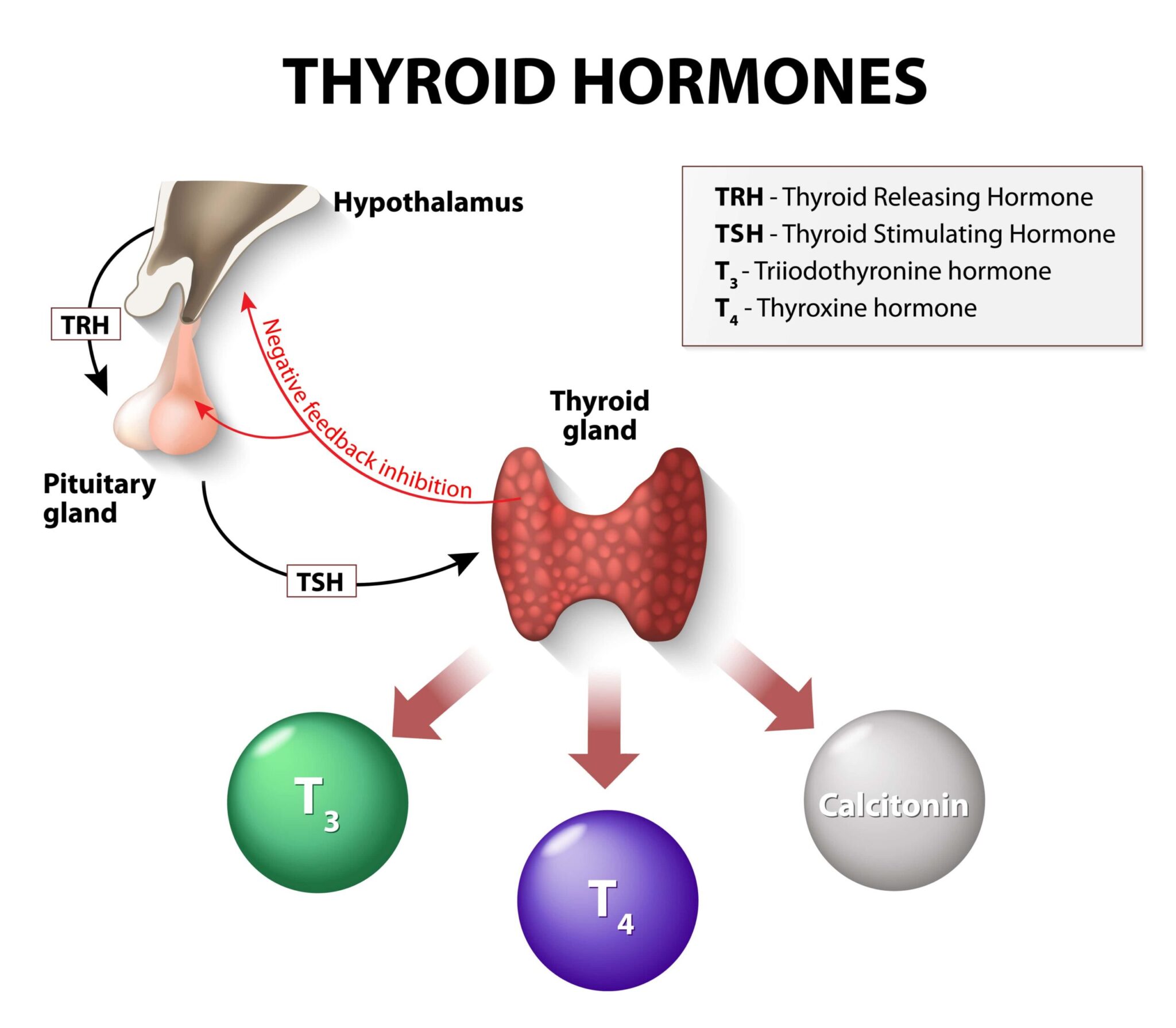 At-Home-TRH-Lab-Test