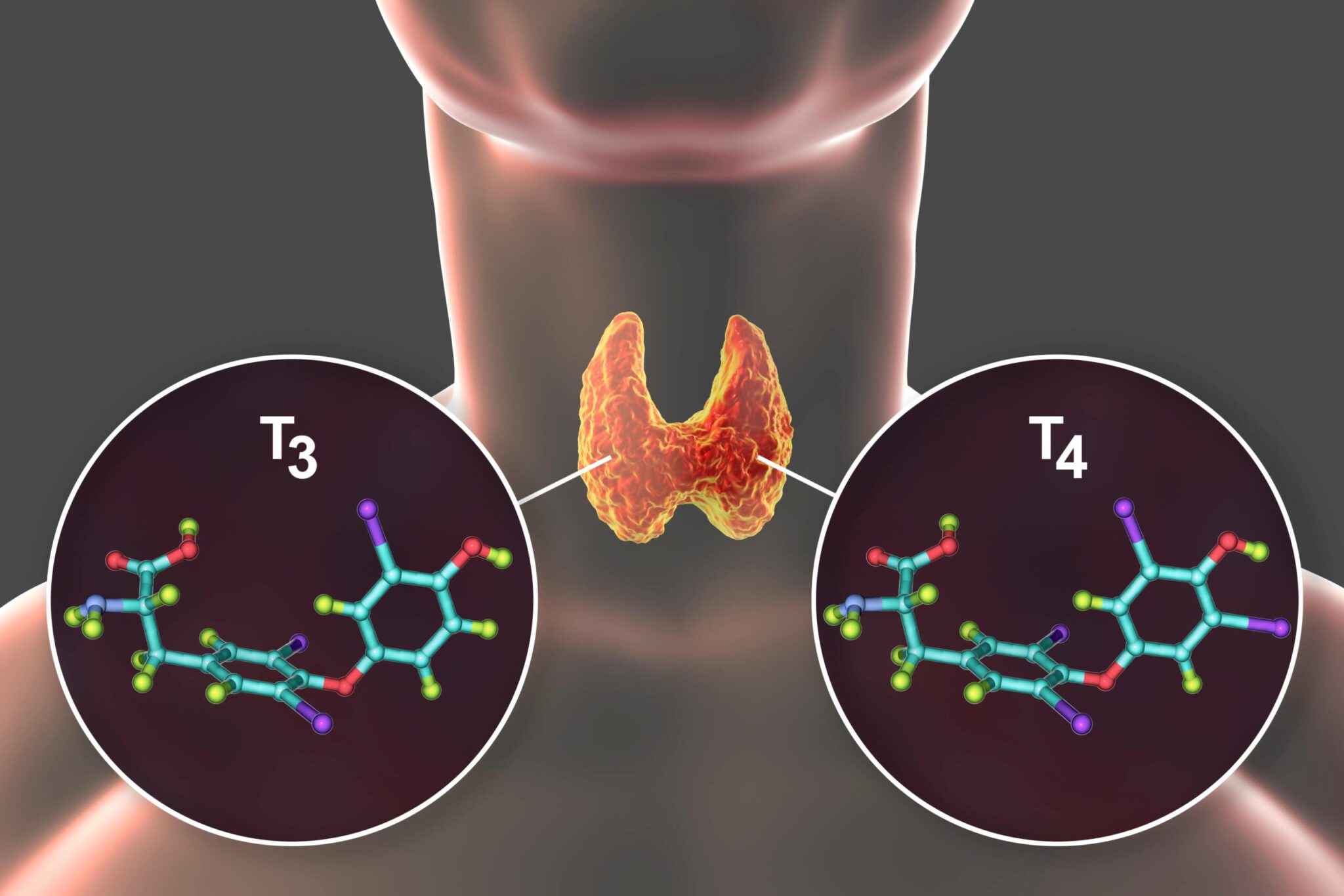 t3-thyroid-blood-test